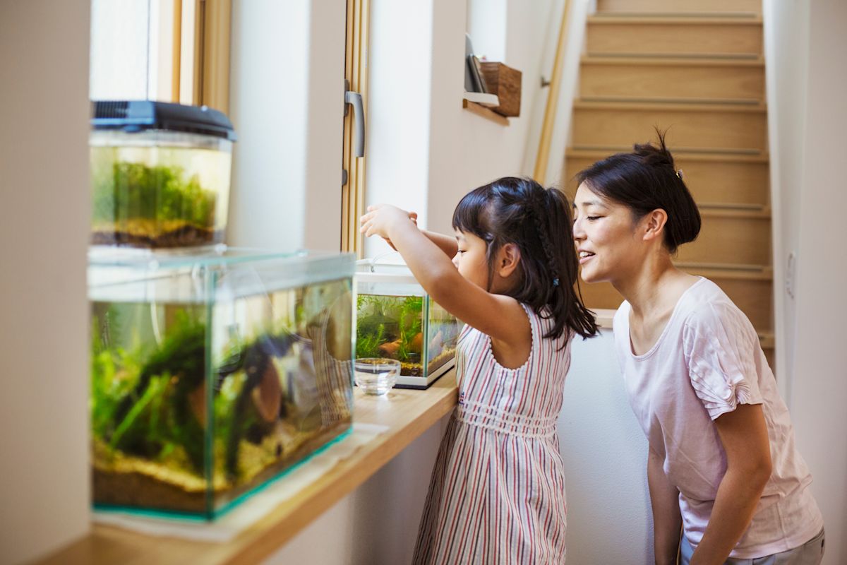 AdobeStock 126418953