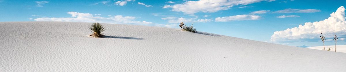 How much does it cost to transfer a car title in New Mexico?